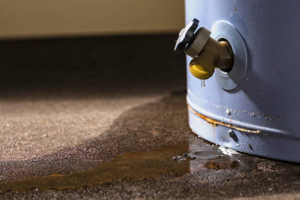 Best 24-hour water damage restoration  in Hernando Beach, FL