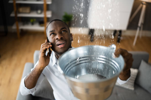 Best Emergency water extraction  in Hernando Beach, FL