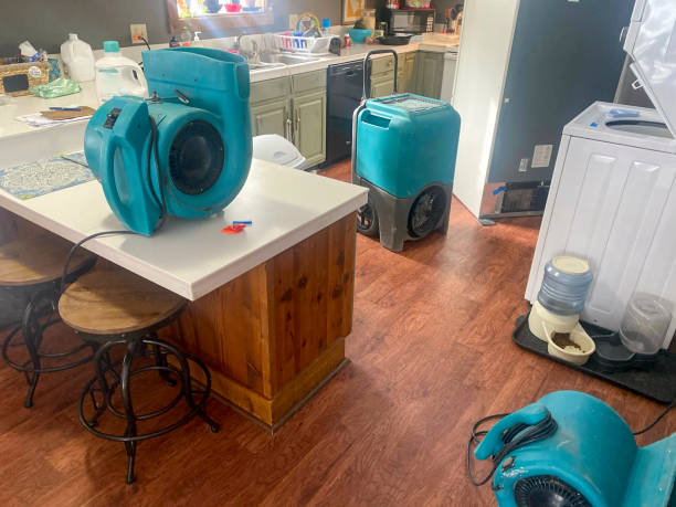  Hernando Beach, FL Water damage restoration Pros
