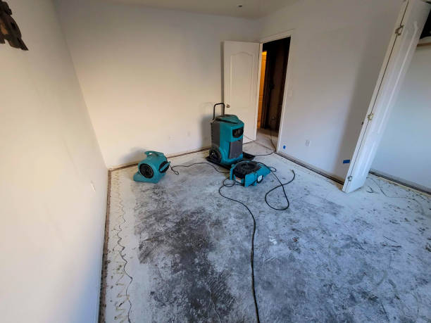 Best Water damage restoration near me  in Hernando Beach, FL
