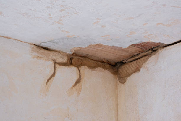 Best Flood damage cleanup  in Hernando Beach, FL