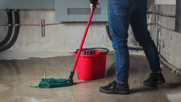 Best Fire Damage Restoration  in Hernando Beach, FL