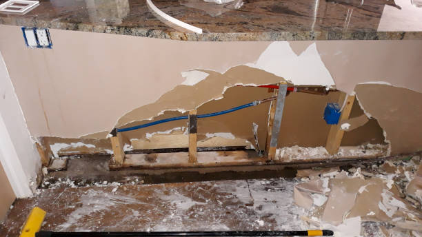 Best Carpet water damage restoration  in Hernando Beach, FL