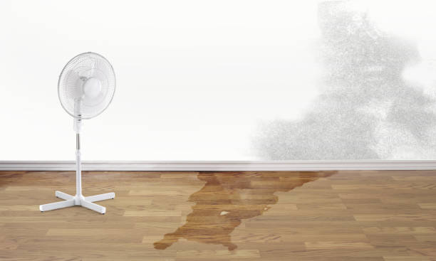 Best 24/7 water damage repair  in Hernando Beach, FL