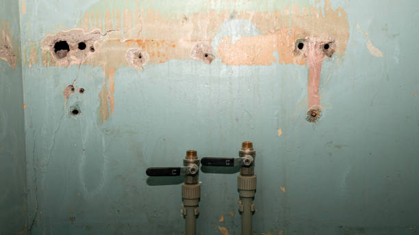 Best Emergency water damage restoration  in Hernando Beach, FL