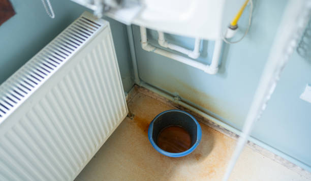 Best Water damage repair service  in Hernando Beach, FL