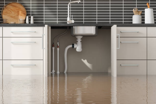 Best Sewage cleanup and water damage restoration  in Hernando Beach, FL