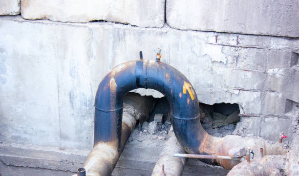 Best Basement water damage restoration  in Hernando Beach, FL