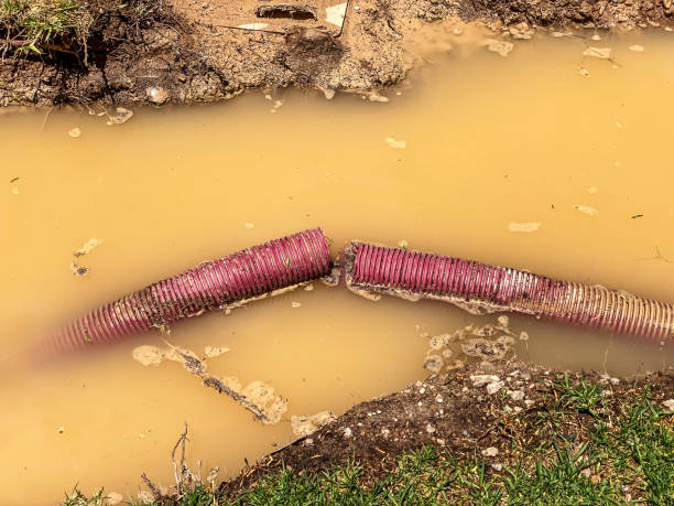 Best 24-hour water damage restoration  in Hernando Beach, FL