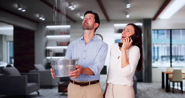 Best 24/7 water damage repair  in Hernando Beach, FL